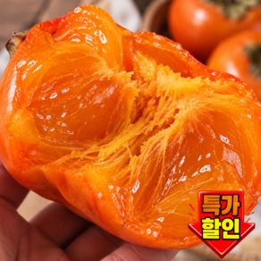 [50박스한정] 산지출고 달콤한 고품질 대봉감