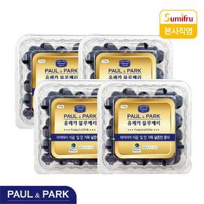 폴앤박 유레카 블루베리 125g 4개