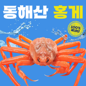 동해안 자숙홍게 8kg(가정용실속형 17-30미) 4kg(정품프리미엄 8-10미) 선주직송 높은수율