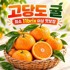 고당도 귤 제주 타이벡 감귤