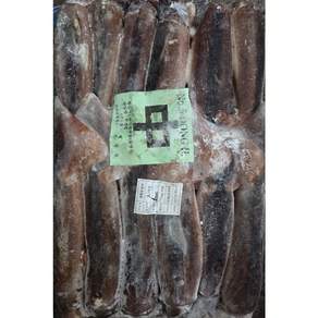 [구포시장아지매] 선동 냉동 오징어 M 중 10KG 2025년 제품