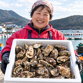 산지직송 국내산 여수 제철 맞은 석화 10kg 당일작업 석화 제대로 드세요