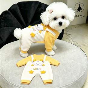 강아지 옷 반려견 올인원 슈트 가을 겨울 보온 캐릭터 디자인 귀여운 애견 의류