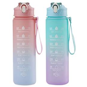 투데이리빙 2개 세트 B타입 그라데이션 대용량 텀블러 800ml + 2000ml 빨대 쉐이커볼 포함 휴대용 원터치 쉐이크통 운동 헬스 아이스 쥬스 워터 물통 물병