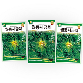 1+1+1 월동시금치씨앗 40g 3봉세트 재래종섬초 겨울시금치종자 시금치씨 가을 겨울 파종 작물 씨 채소씨앗