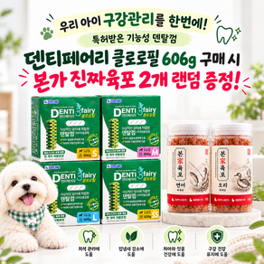 포켄스 덴티페어리 디스펜서 클로로필 강아지 덴탈껌 + 본가 진짜육포 2개