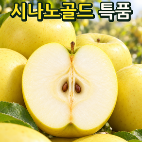 한입베어물면 터지는 새콤달콤함 특품 시나노골드