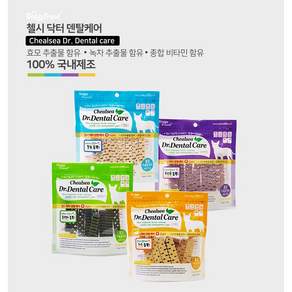 도기프렌드 첼시 덴탈케어 유산균 클로렐라 치즈 해조칼슘 100g(10개) 4종중 1가지맛