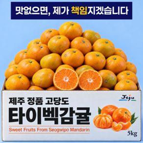 당도선별 고당도 타이벡 제주 감귤