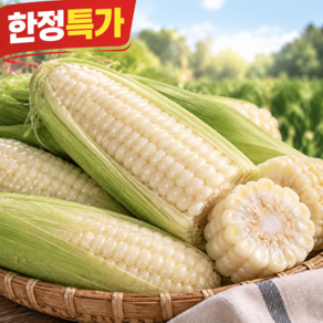 [작년완판] 산지직송 쫀득한 식감 신선한 미백찰옥수수