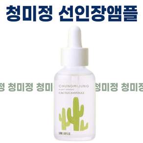 청미정 보검 선인장 앰플