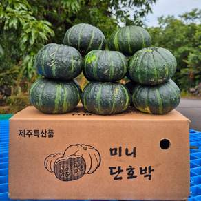 포슬포슬 제주 미니 밤호박, 1kg(2-4과)특..., 1박스 - 단호박