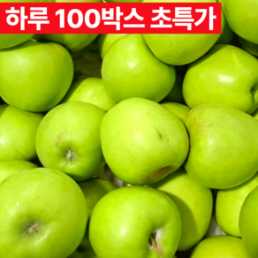 [농가직송] 경북 햇 아오리사과 청사과