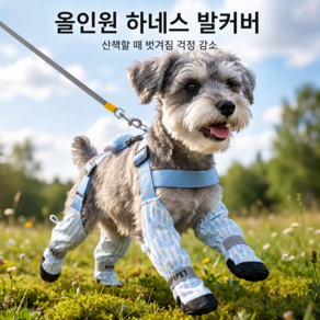 강아지 하네스 일체형 방수 신발 벗겨짐 방지 미끄럼 방지 산책용 발커버