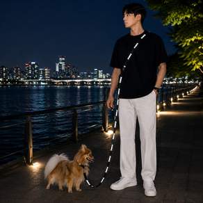 파울리 강아지 목줄+리드줄 2.5M 3M 리플렉티브 반사 리드줄 야간산책