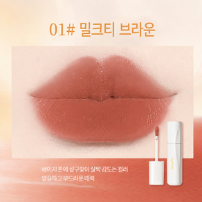 베이제 워터프루프 매트 립틴트 벨벳 텍스처 고발색 오래가는 무광 립컬러 LCY-05