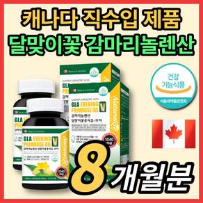 캐나다 감마리 놀렌산 레놀산 롤렌산 감미레놀산 저온 압착 달마지 달맞이 꽃 기름 종자유 추출물 씨유 지엘에이 콜레스테롤 혈행 개선 도움 영양제