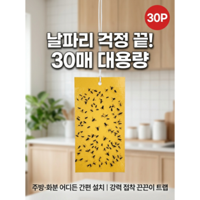 리아르 날파리 트랩 초파리 끈끈이 10 x 20cm