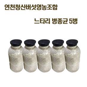 칡느타리 원목접종 흑색느타리 종균 재배 버섯 키우기 5병