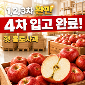 [100박스 선착구매] 경상북도 홍로사과 햇사과 오직 상급과만 (소과 혼합과X)