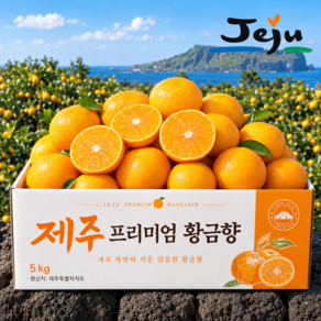 [재구매율1위] 14brix 초고당도 제주 명품 황금향