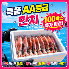 [한치AAA특등급] 탱탱쫀득 한치 총알한치 한치통찜