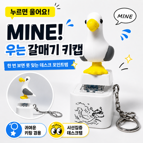 DANDY ZONE 슈퍼마리오 코인사운드 기러기 키캡 어덜트토이 키링 키덜트 굿즈