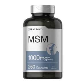 호바흐 MSM 1000mg 캡슐