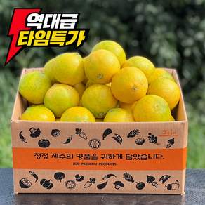 [당도대장] 제주 황금향 새콤달콤 고당도 산지직송 선물세트
