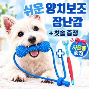 제비온 강아지 양치보조기 놀면서 구강케어 이갈이 스트레스해소