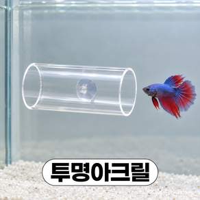디심플 베타 침대 은신처 베타터널