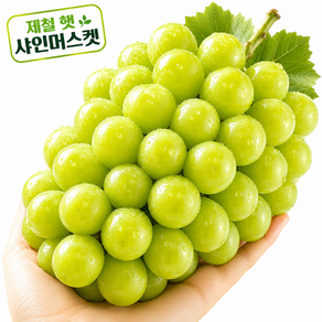 고당도 프리미엄 제철과일 샤인머스켓 포도