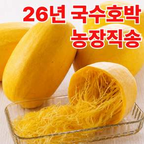 [농장직송] 국내산 국수호박 호박국수 빠른배송