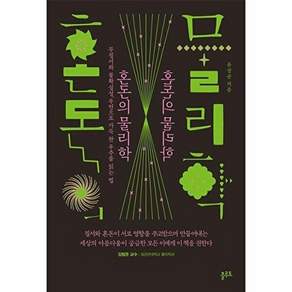 플루토 혼돈의 물리학 - 무질서와 불확실성 우연으로 가득 찬 우주를 읽는 법