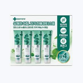 담아두다 덴티스테 뉴플러스 화이트 치약 160g x 4