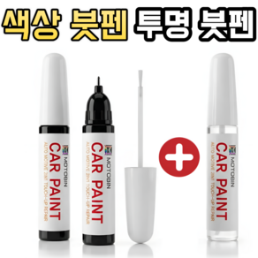아이오닉6 붓펜 페인트