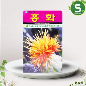 솔림텃밭몰 홍화씨앗 100립 꽃씨앗 꽃씨 홍화