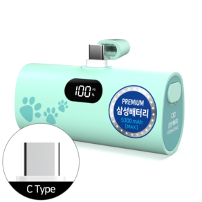 티앤알 삼성배터리셀 도킹형 국산 보조배터리 5000mAh 22.5W P-5300B