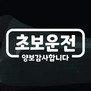 디자인황소 초보운전 스티커 차량스티커 차량 자동차 데칼 시트지