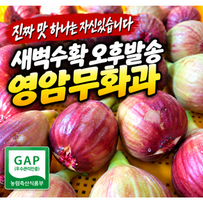 [마지막특가] 고당도 정품 영암 무화과 산지직송
