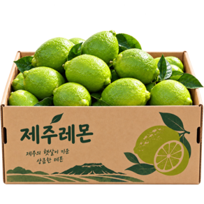 자주올디 [제주레몬] 국내산 청레몬 햇레몬