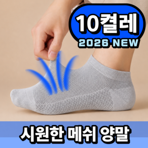 로렌픽 여름 시원한 쿨 통기성 메쉬 양말 10켤레 세트