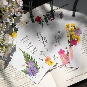 오늘의오브제 압화 책갈피 만들기 키트 (5개 제작분)
