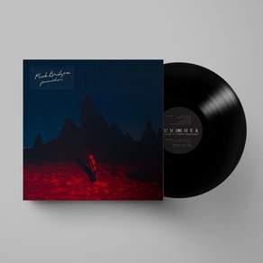 (수입 LP) PHOEBE BRIDGERS PSHER LP NEW/SEALED FREE SHIPPNG