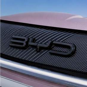BYD 돌핀 전용 프론트 로고 블랙 커버