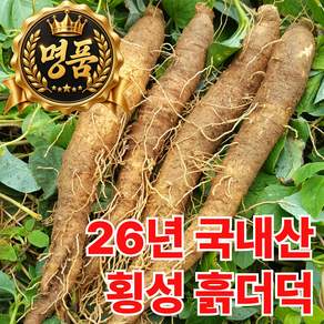 [26년 햇더덕] 강원도 횡성 더덕 흙더덕