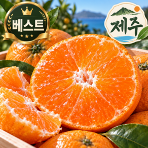 [단독초특가] 제주 고당도 최대 15brix 노지 감귤 산지직송