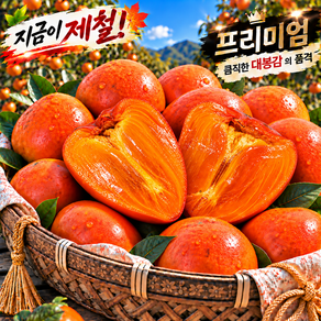 [26년첫출하] 초고당도 프리미엄 대봉감 홍시