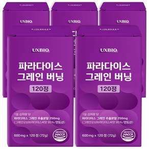 [정품] 파라다이스 그래인 버닝