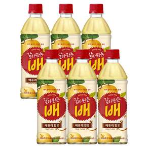해태 EU99-해태 갈아만든 배 500ml 6입